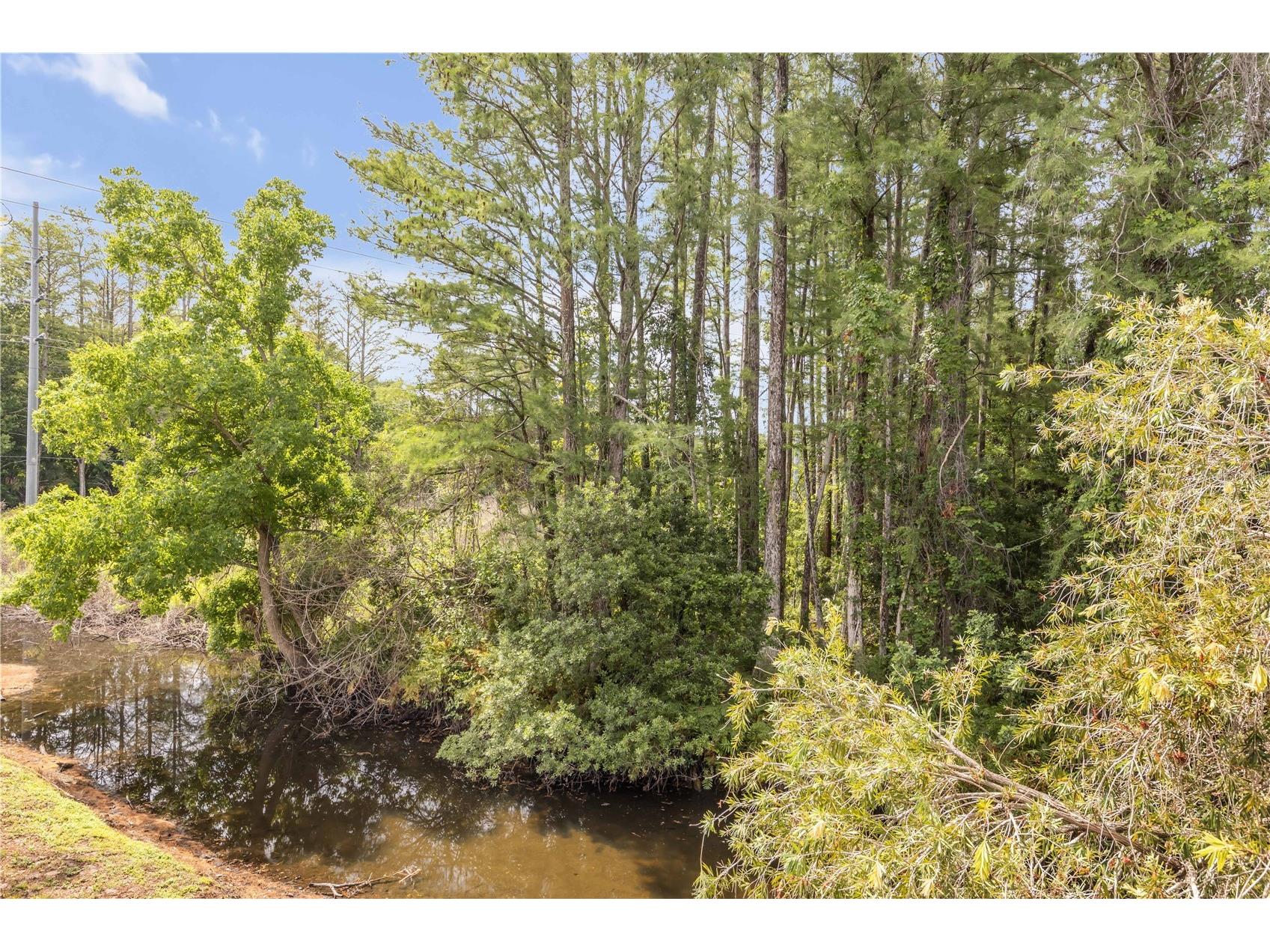 5472 Pine Creek Drive #2006B Orlando FL 32811 O6408004 image19