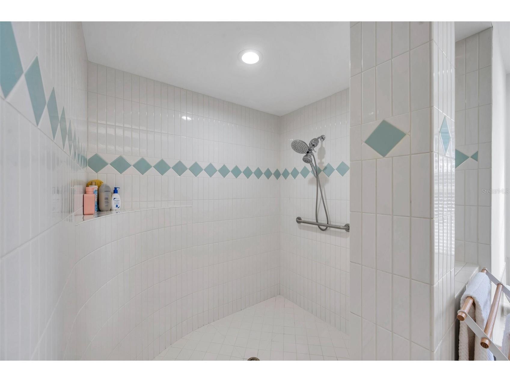 5473 Blue Heron Lane Wesley Chapel FL 33543 TB8520132 image31