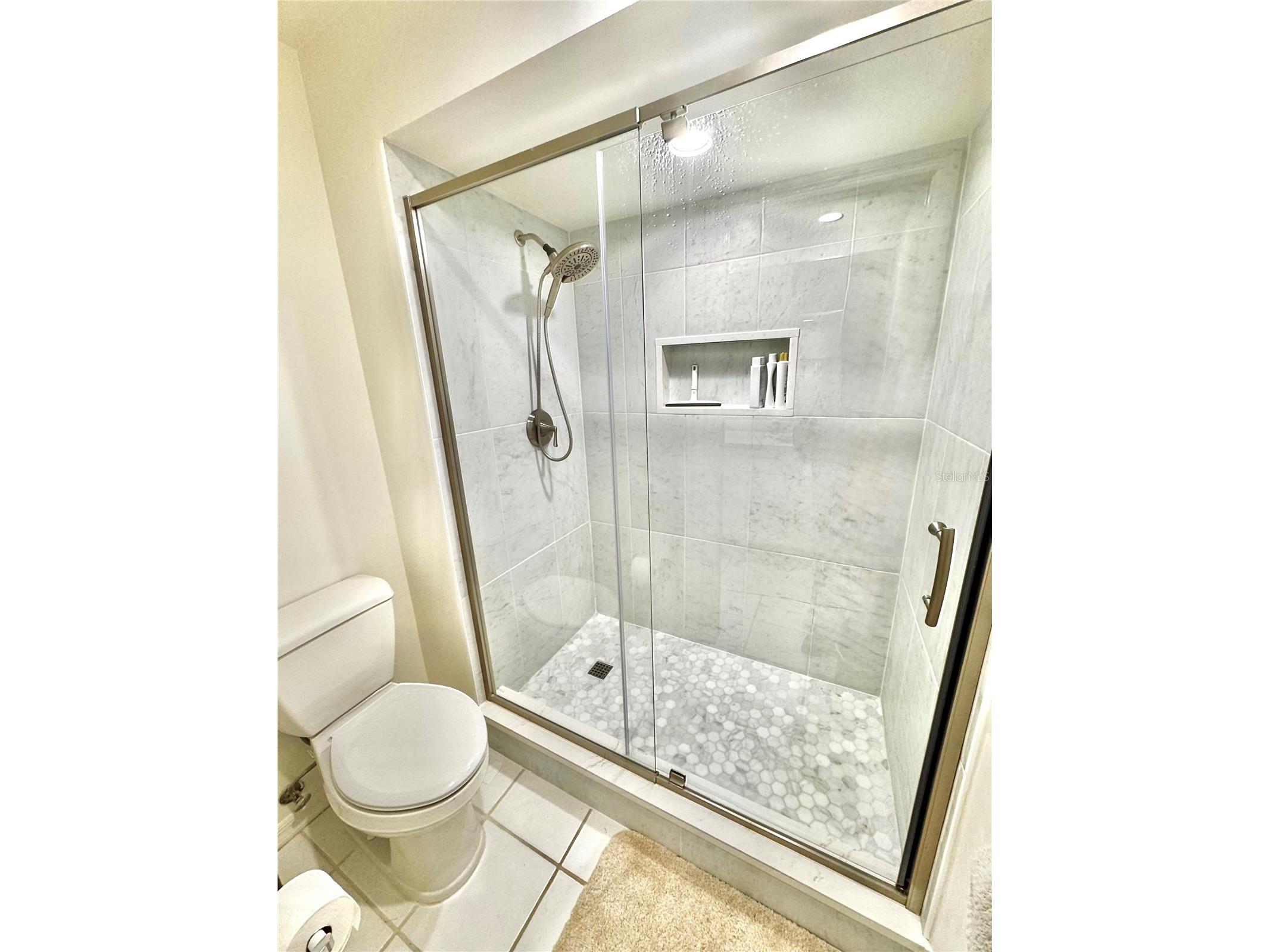 5473 Blue Heron Lane Wesley Chapel FL 33543 TB8520132 image38