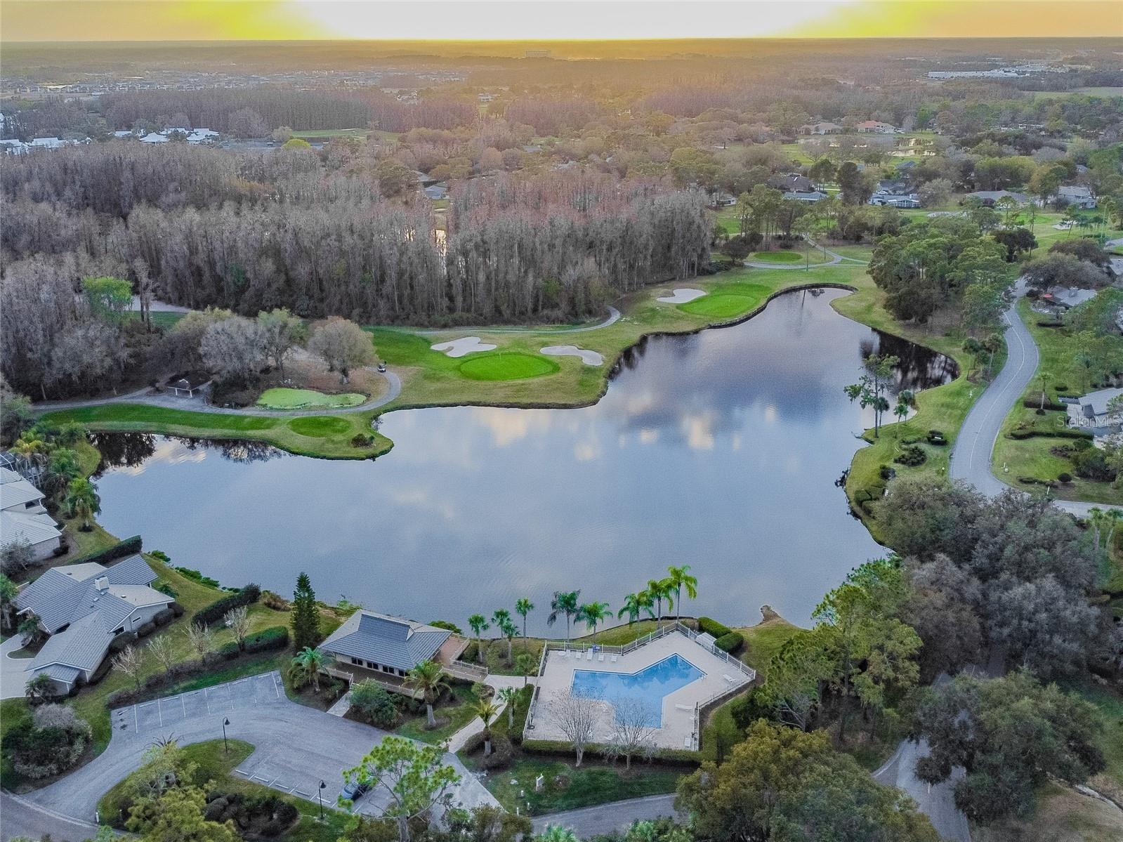5473 Blue Heron Lane Wesley Chapel FL 33543 TB8520132 image43