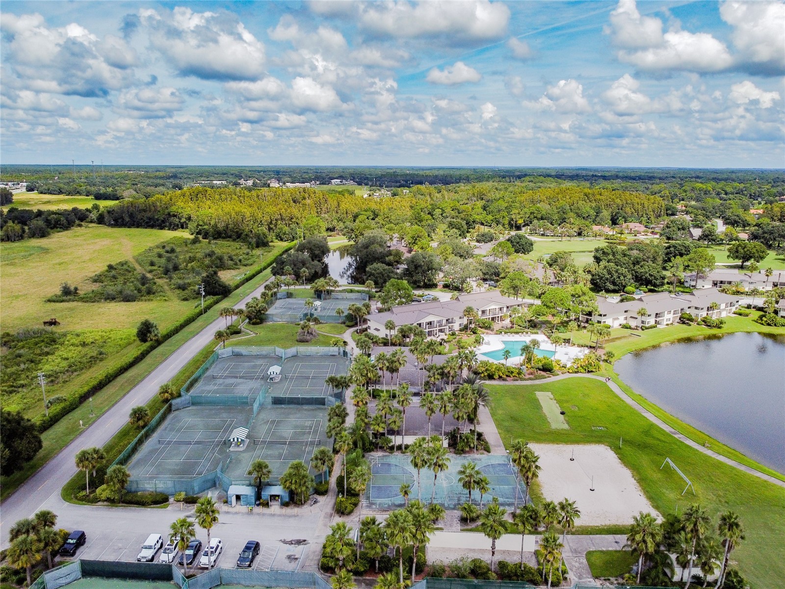 5473 Blue Heron Lane Wesley Chapel FL 33543 TB8520132 image47