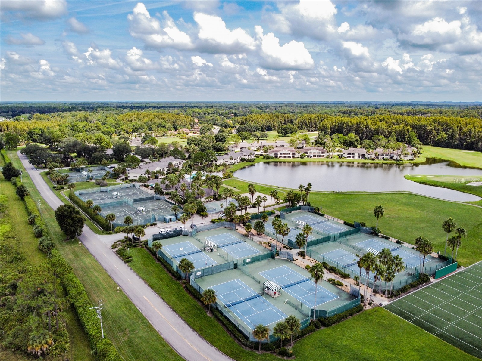 5473 Blue Heron Lane Wesley Chapel FL 33543 TB8520132 image48