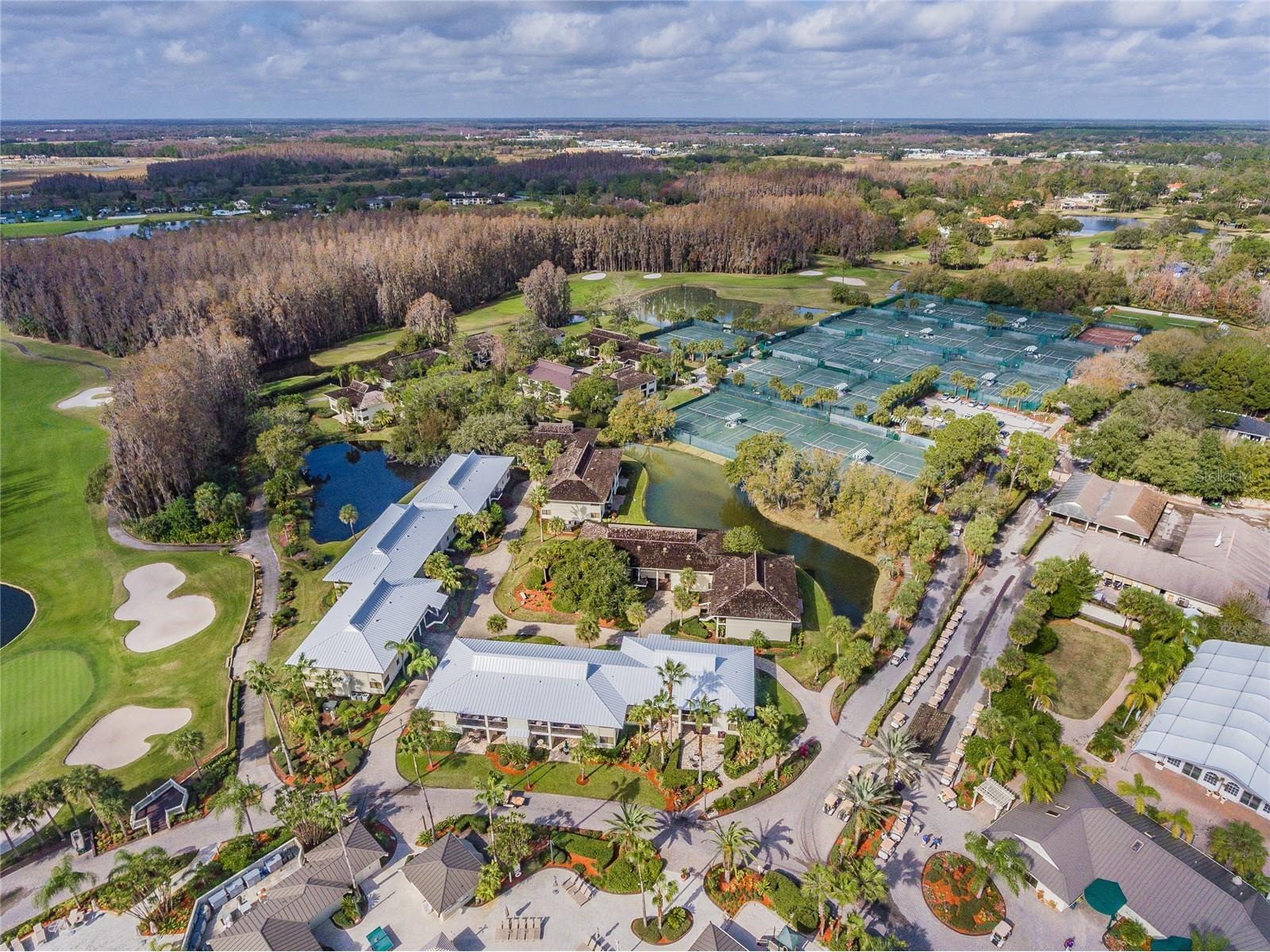 5473 Blue Heron Lane Wesley Chapel FL 33543 TB8520132 image49