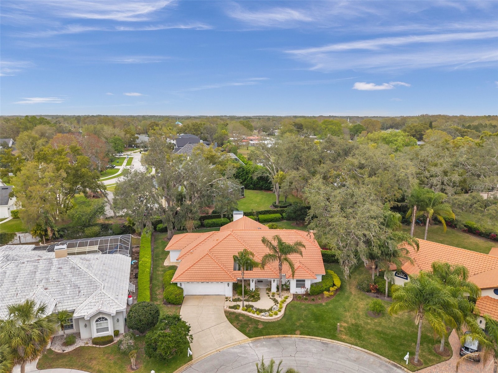 5473 Blue Heron Lane Wesley Chapel FL 33543 TB8520132 image5