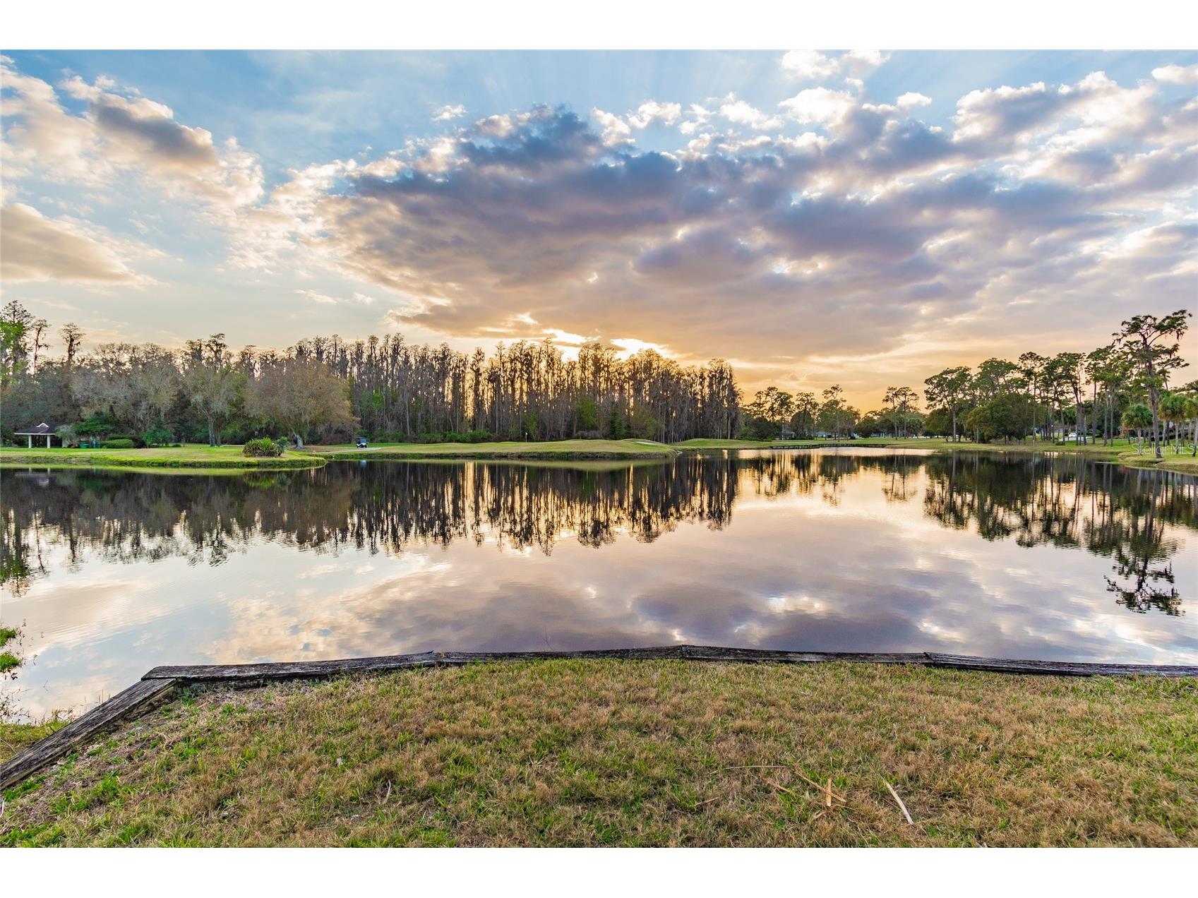 5473 Blue Heron Lane Wesley Chapel FL 33543 TB8520132 image50