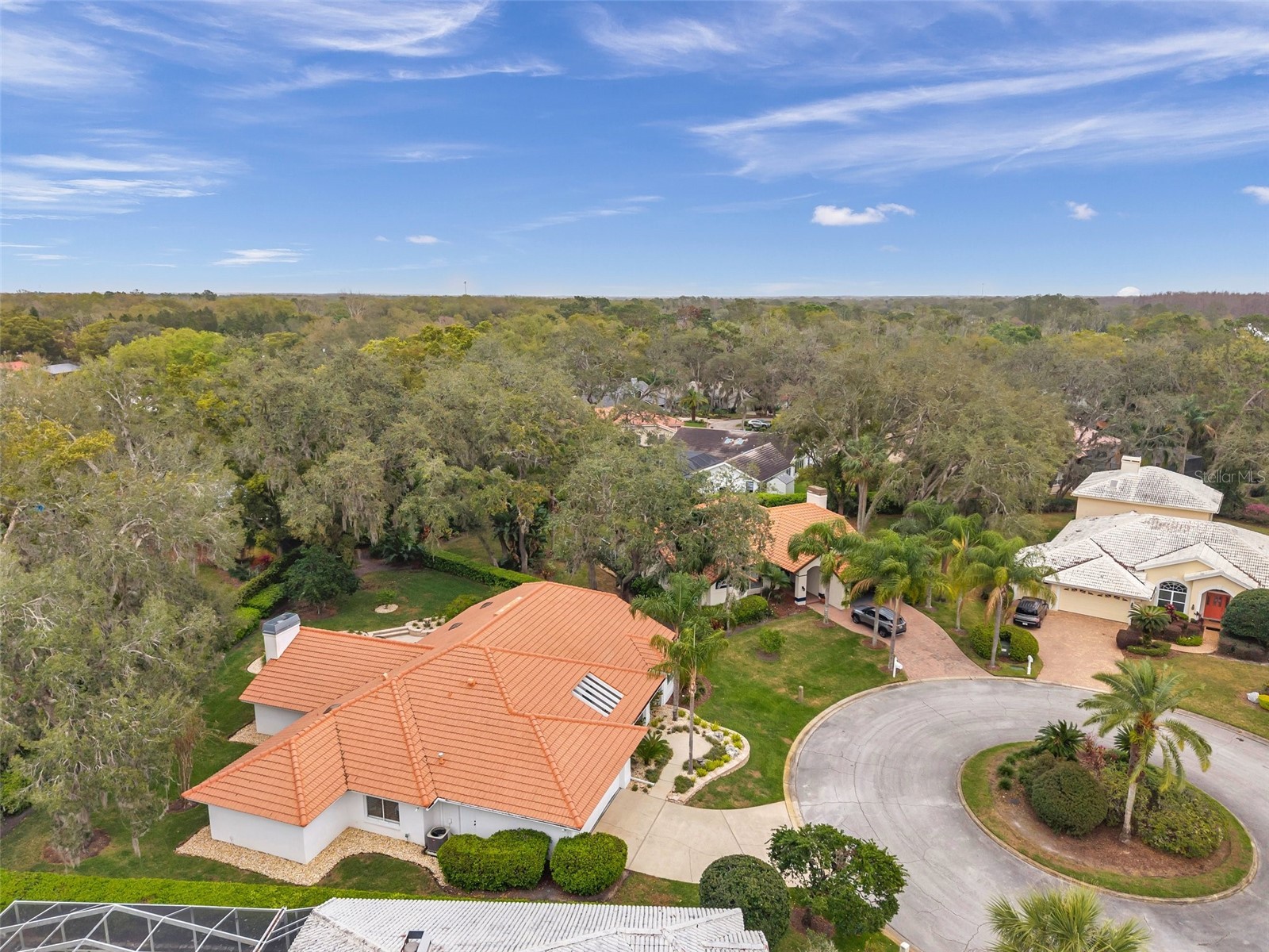 5473 Blue Heron Lane Wesley Chapel FL 33543 TB8520132 image7