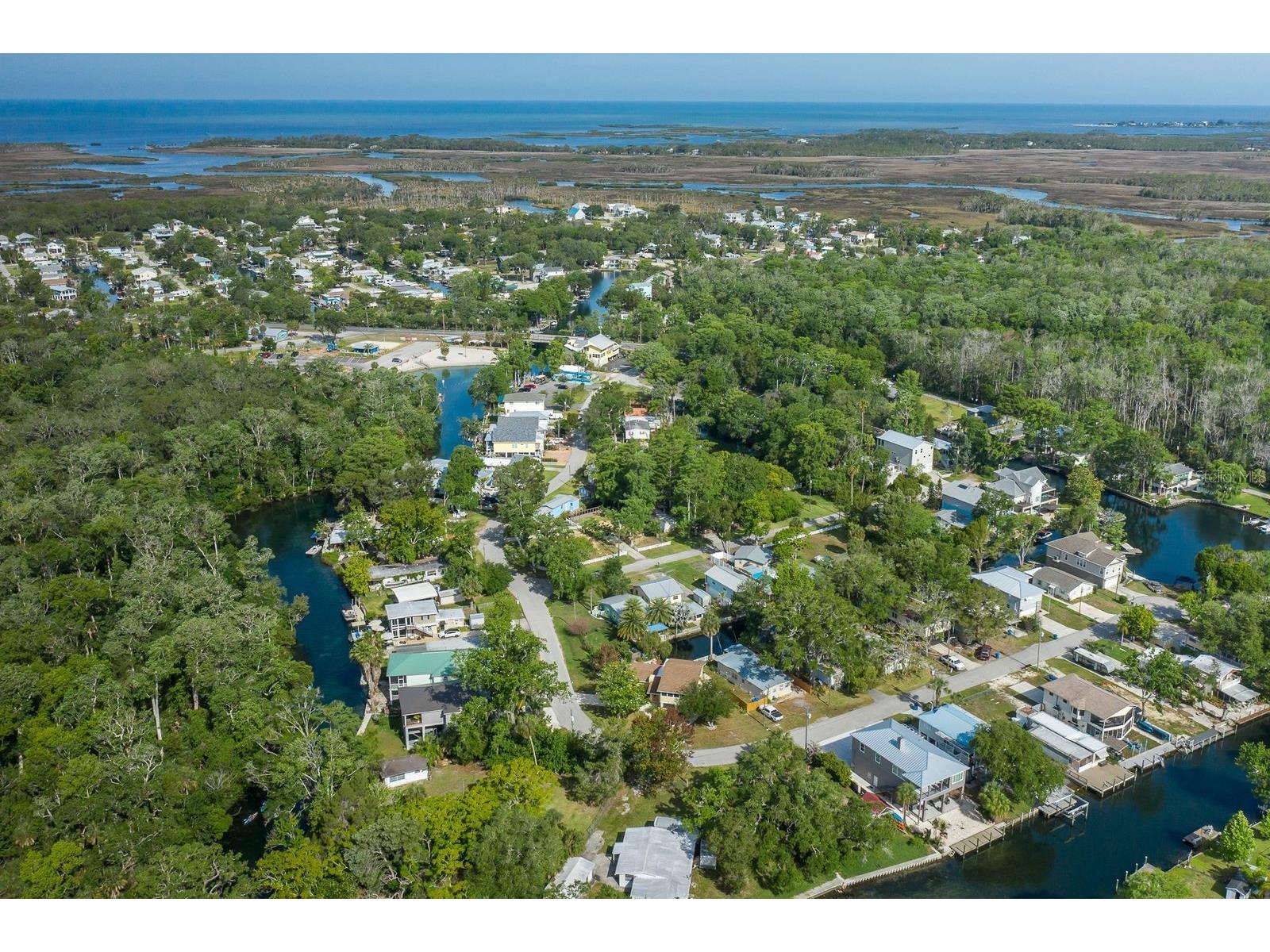 5473 Darlene Street Weeki Wachee FL 34607 - WEEKI WACHEE RIVER W7885572 image49