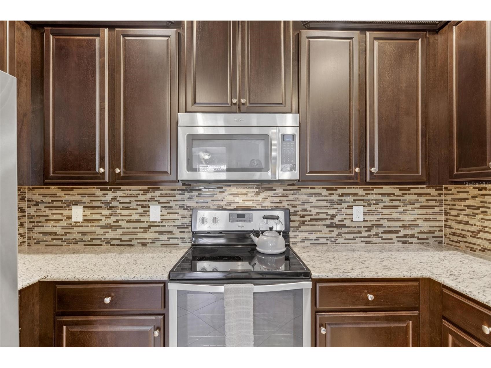 5474 Sunset Falls Drive Apollo Beach FL 33572 TB8498511 image18