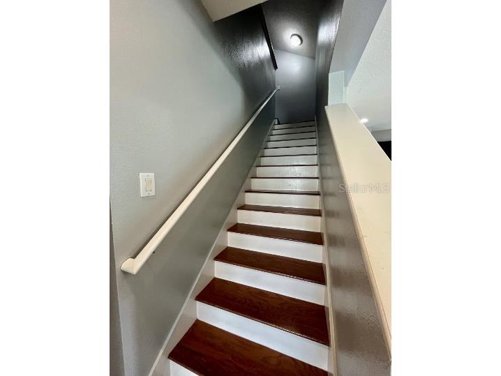 5475 Angelonia Terrace Land O Lakes FL 34639 TB8447695 image14