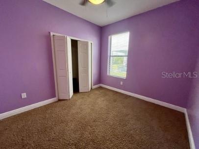 5475 Angelonia Terrace Land O Lakes FL 34639 TB8447695 image22