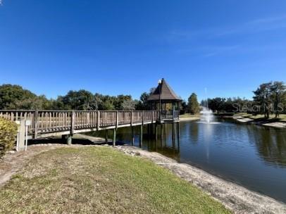 5475 Angelonia Terrace Land O Lakes FL 34639 TB8447695 image32