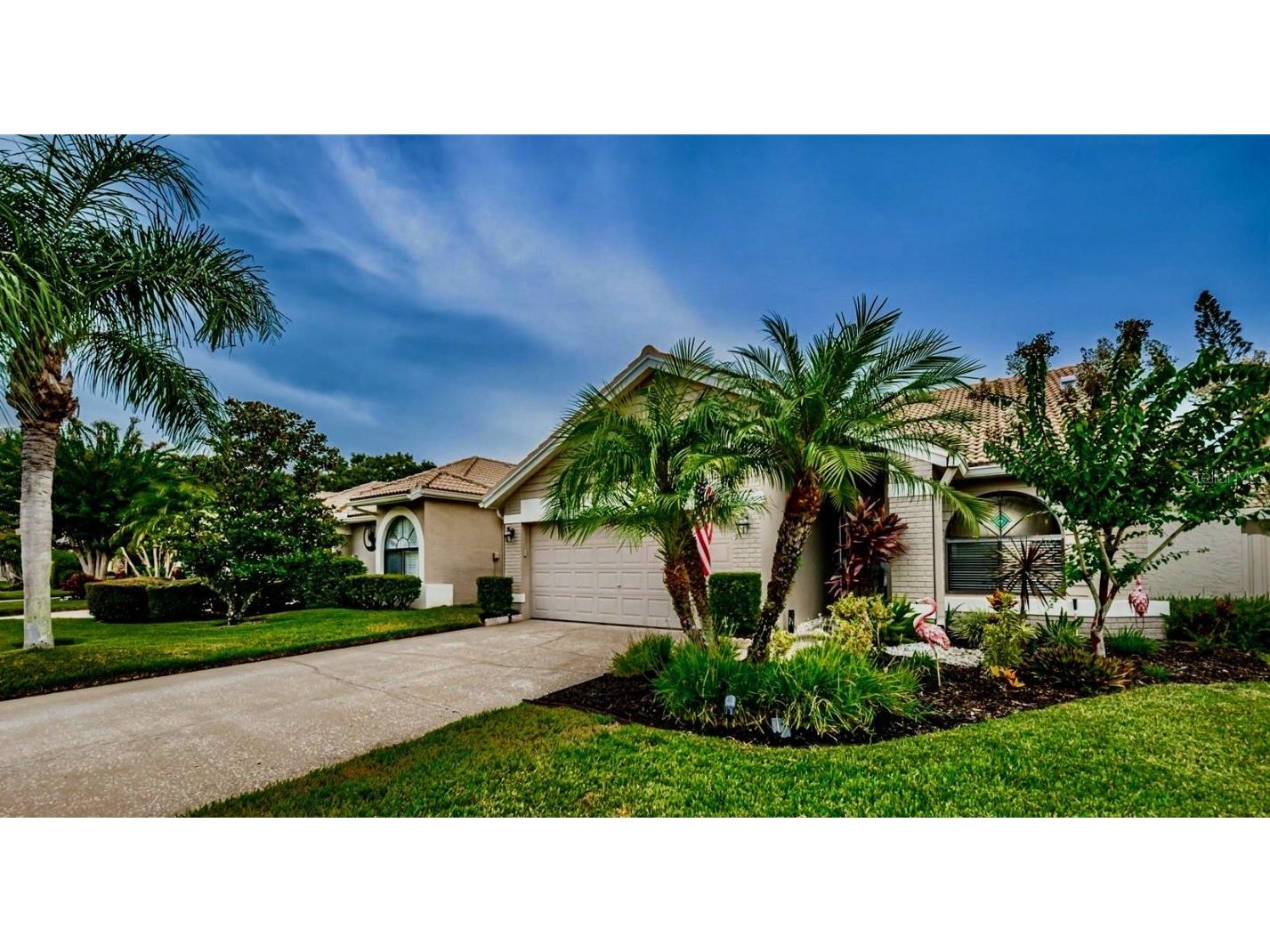 5475 Greyston Street Palm Harbor FL 34685 U8210738 image1