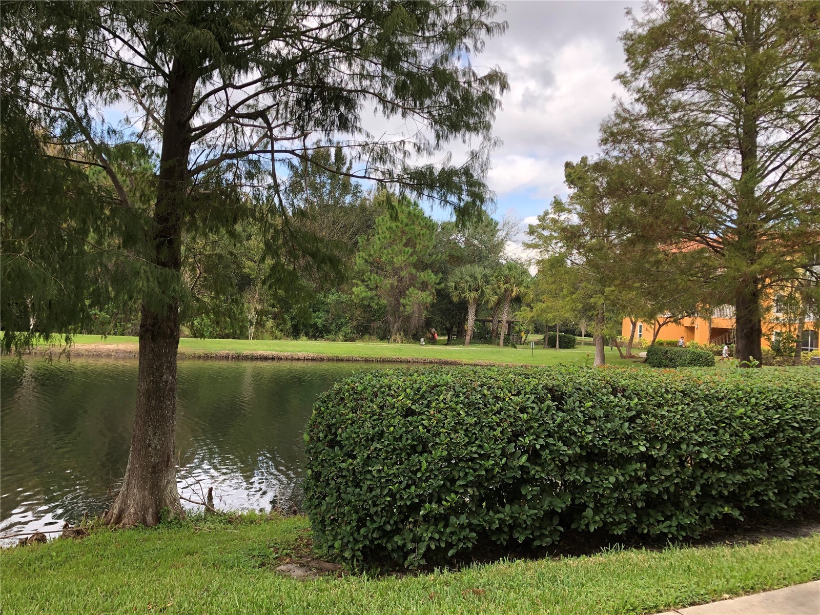 5475 Vineland Road #8304 Orlando FL 32811 O6413185 image31