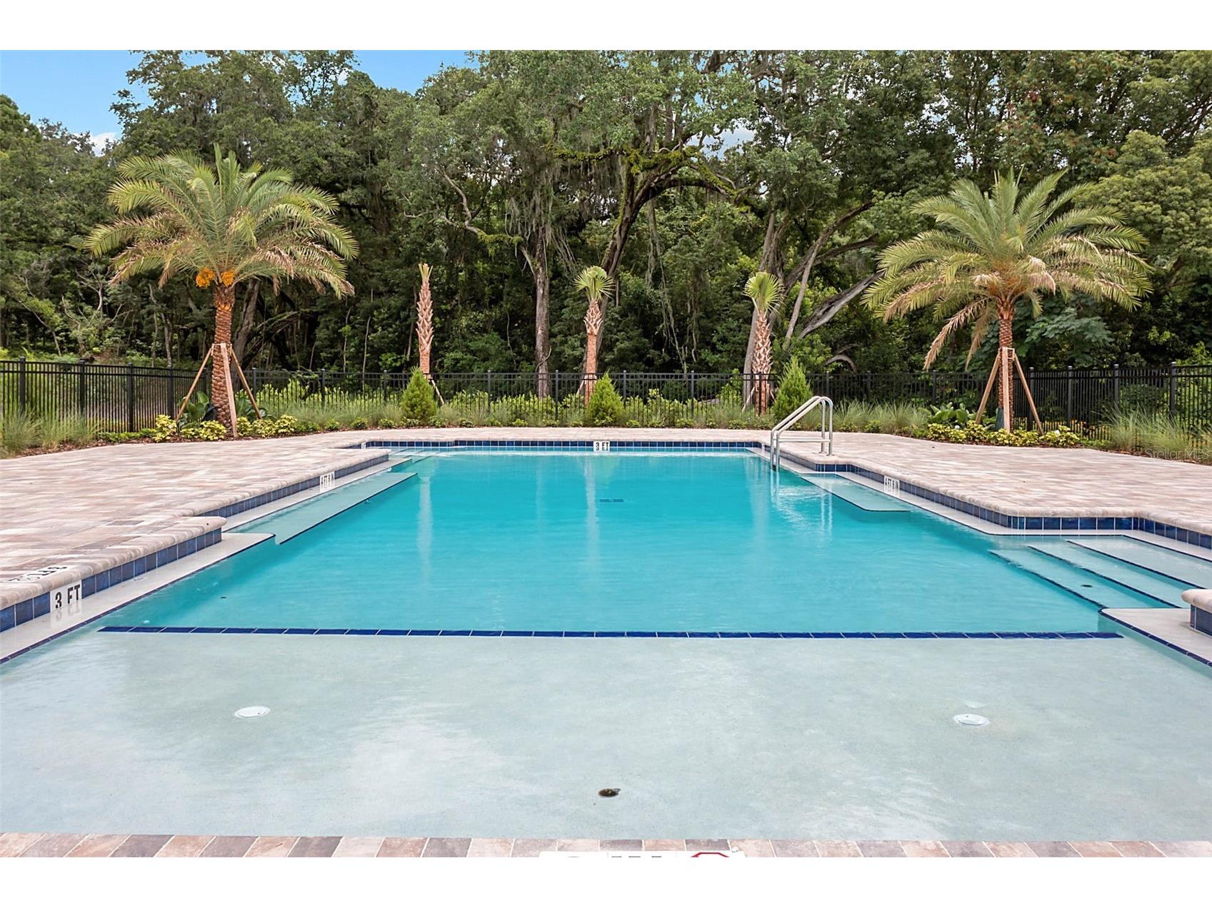 5476 Hunter Jumper Lane Apopka FL 32712 O6418945 image50