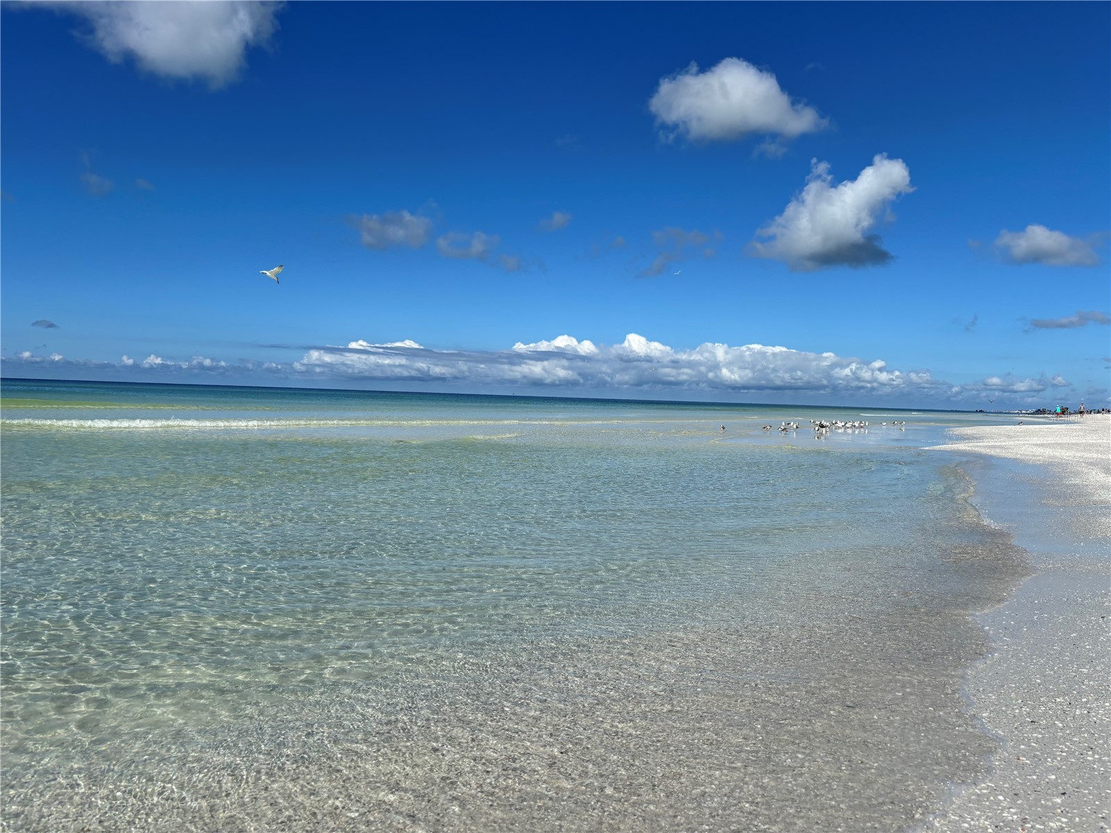 5476 Swift Road #19 Sarasota FL 34231 A4689984 image32