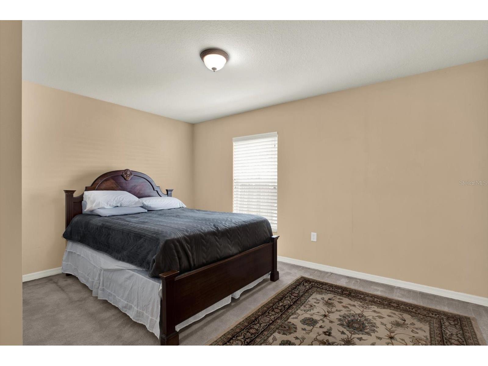 5477 Colchester Avenue Spring Hill FL 34608 W7884614 image20