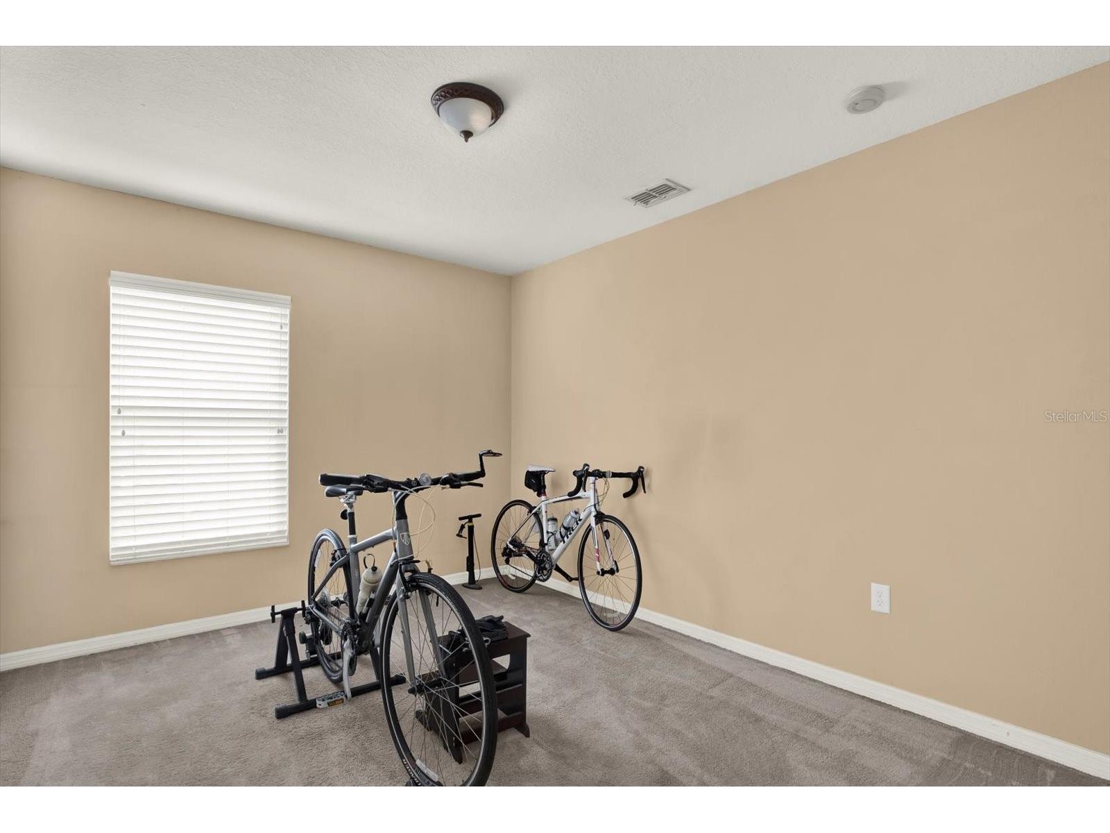 5477 Colchester Avenue Spring Hill FL 34608 W7884614 image23