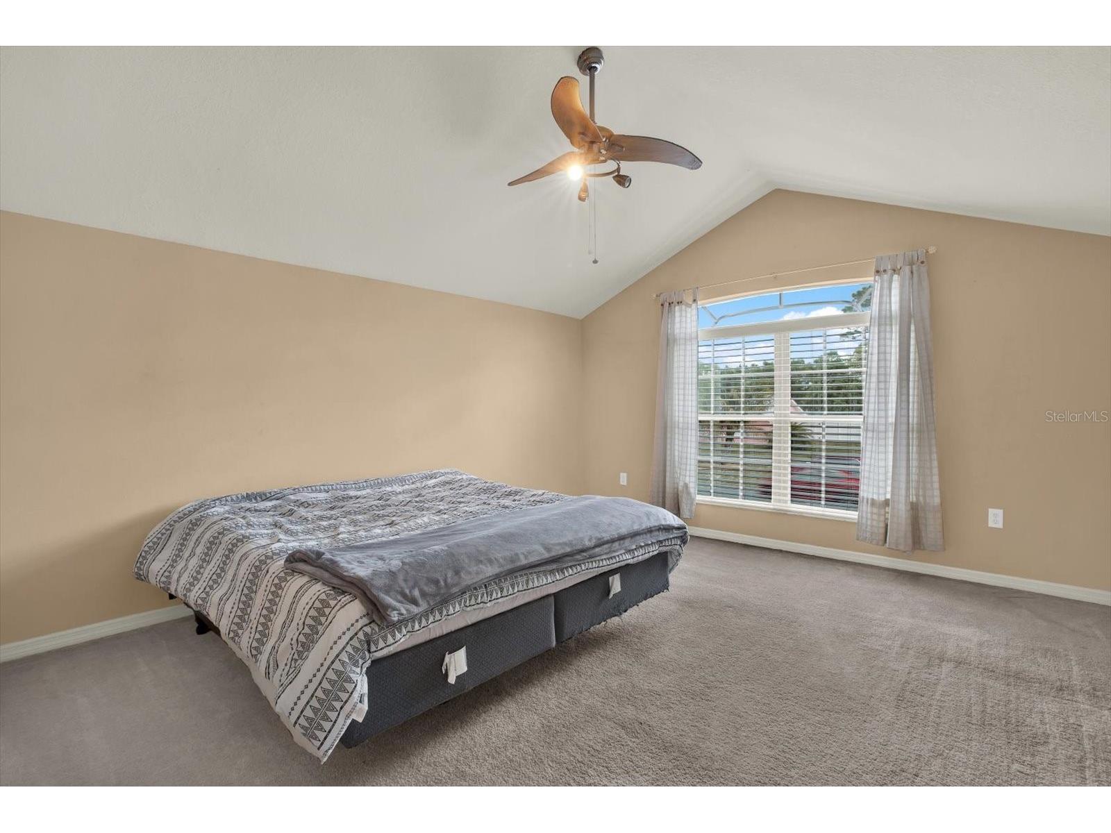 5477 Colchester Avenue Spring Hill FL 34608 W7884614 image27