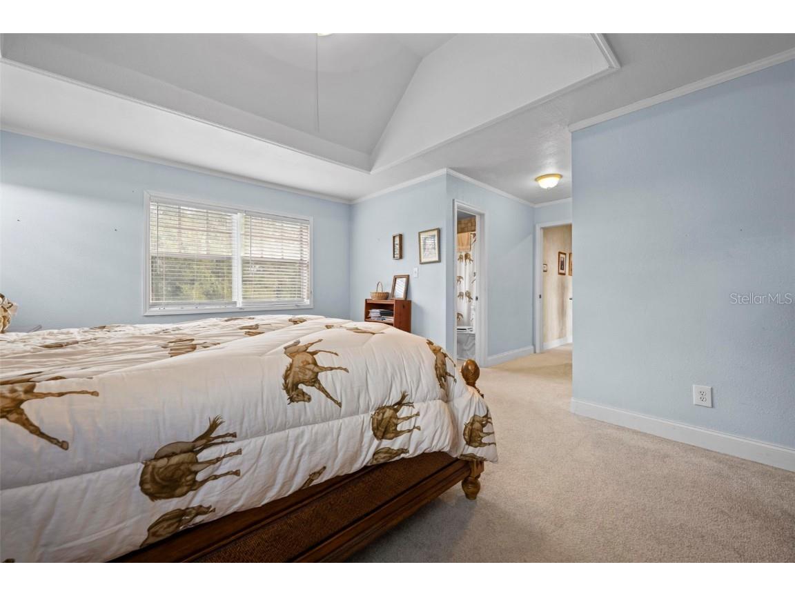 5478 Glorious Trail Brooksville FL 34602 W7881574 image40