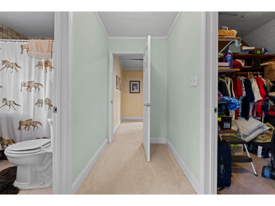 5478 Glorious Trail Brooksville FL 34602 W7881574 image42