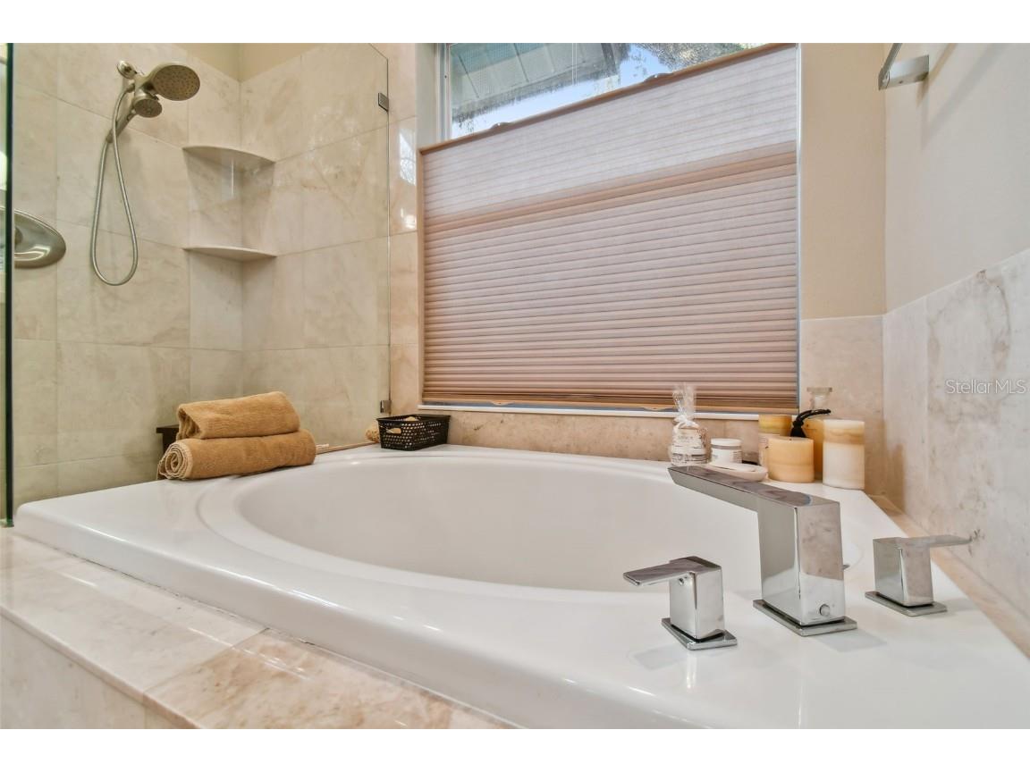 5479 Blue Heron Lane Wesley Chapel FL 33543 TB8445485 image20