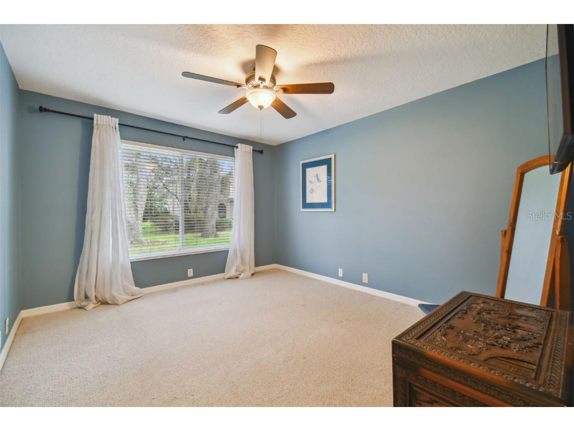 5479 Blue Heron Lane Wesley Chapel FL 33543 TB8445485 image23