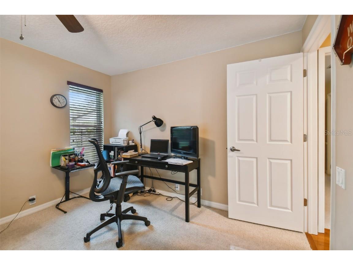 5479 Blue Heron Lane Wesley Chapel FL 33543 TB8445485 image27