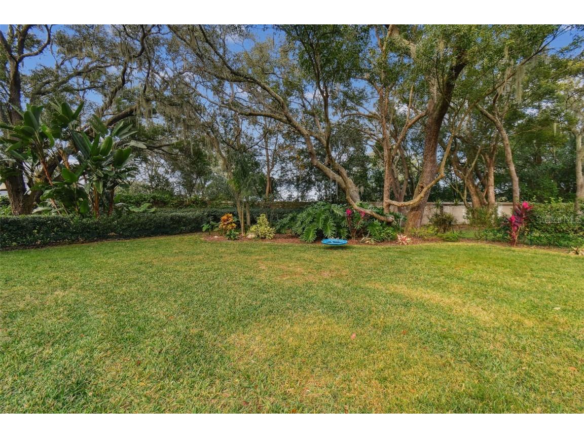 5479 Blue Heron Lane Wesley Chapel FL 33543 TB8445485 image41