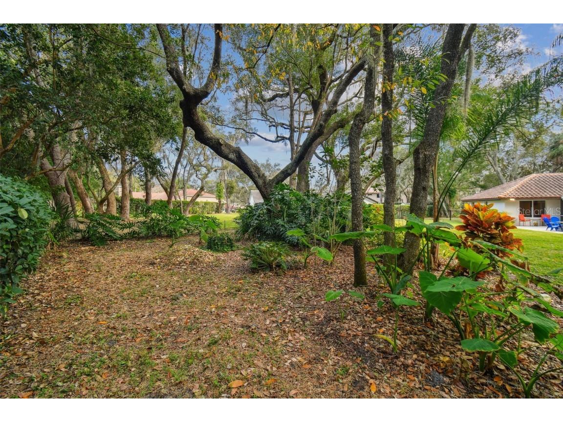 5479 Blue Heron Lane Wesley Chapel FL 33543 TB8445485 image42