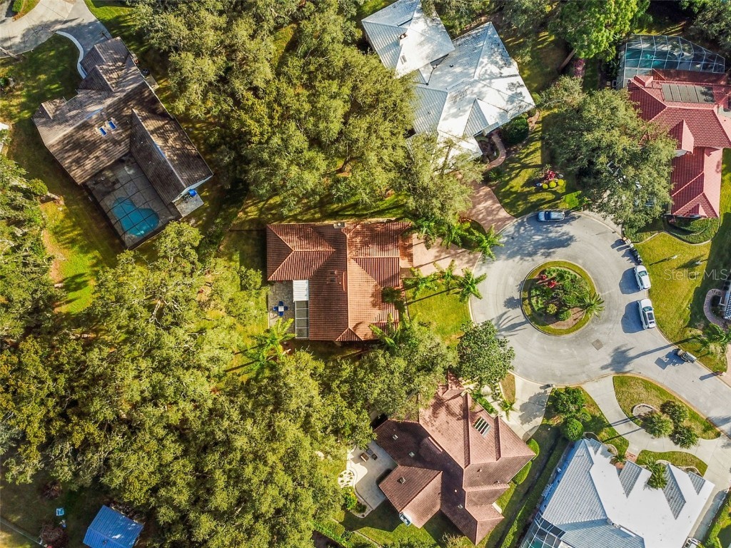 5479 Blue Heron Lane Wesley Chapel FL 33543 TB8445485 image44