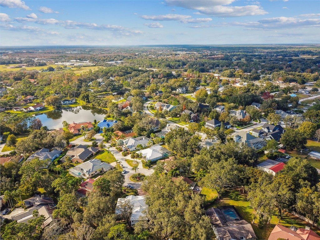 5479 Blue Heron Lane Wesley Chapel FL 33543 TB8445485 image45