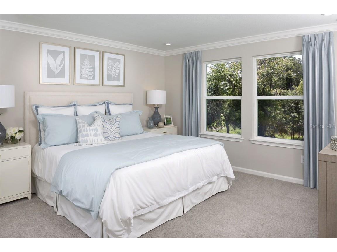 5479 Brooklet Woods Drive Wesley Chapel FL 33545 TB8421072 image6