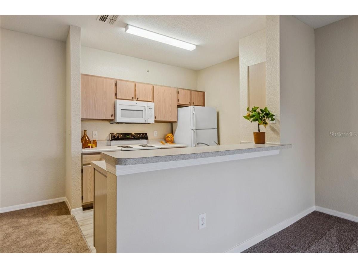 5479 Vineland Road #9310 Orlando FL 32811 S5139888 image14