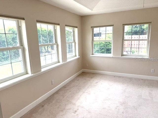 548 Domenico Circle Saint Augustine FL 32086 FC318168 image31