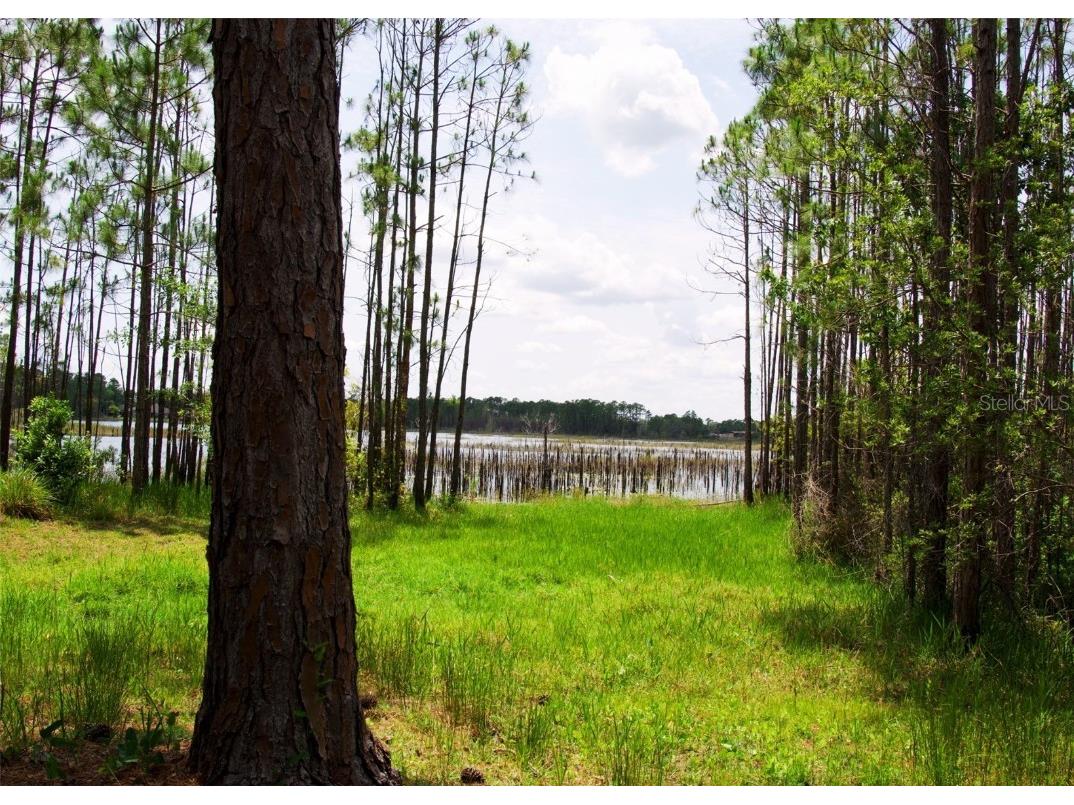 548 Glen Haven Drive Deltona FL 32738 O6309296 image19