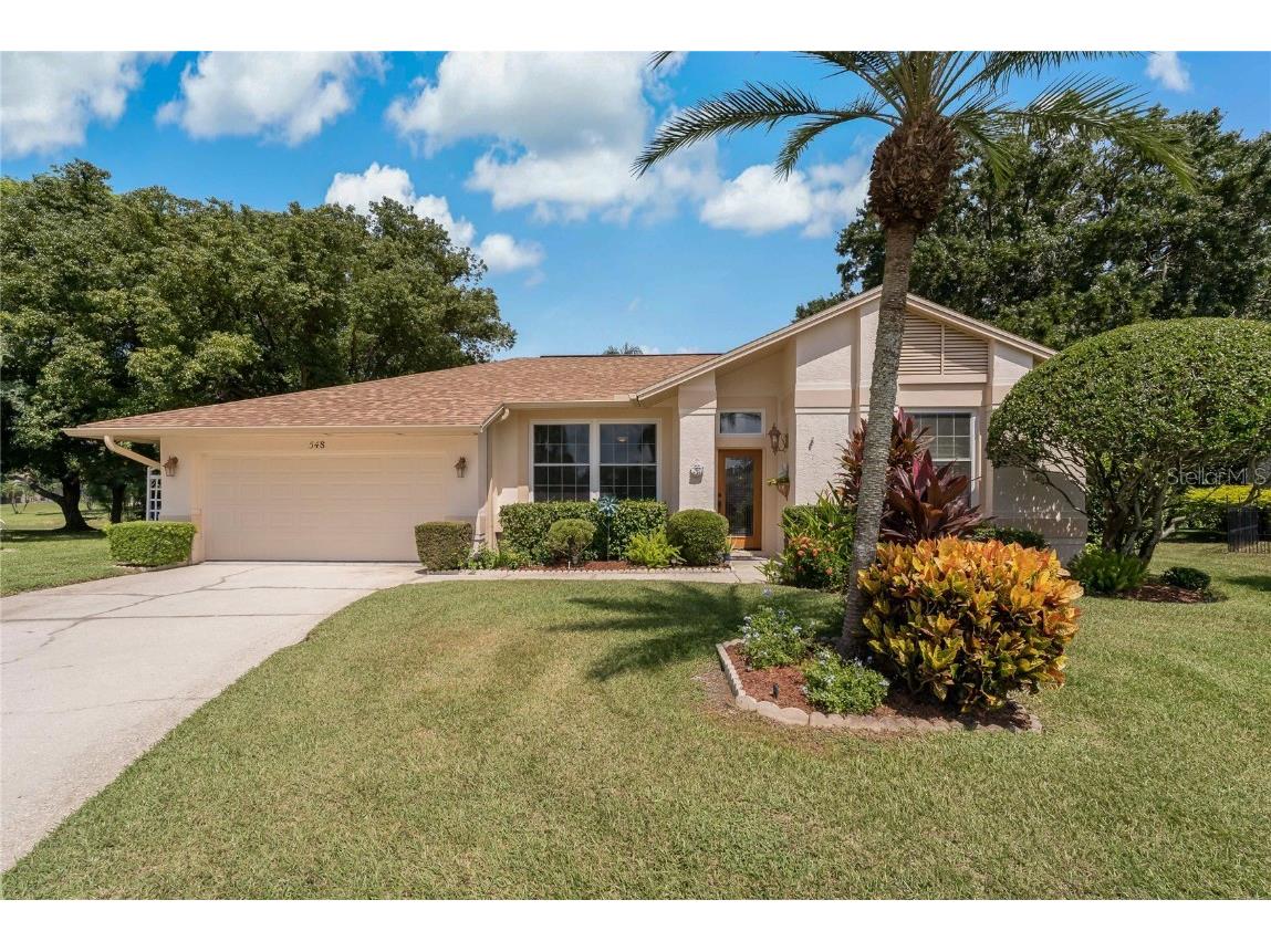 548 Hollowtree Place Tarpon Springs FL 34688 W7868382 image1