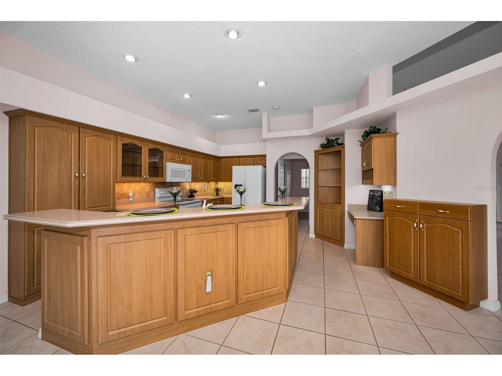 548 Manisha Place Tarpon Springs FL 34688 TB8494809 image15