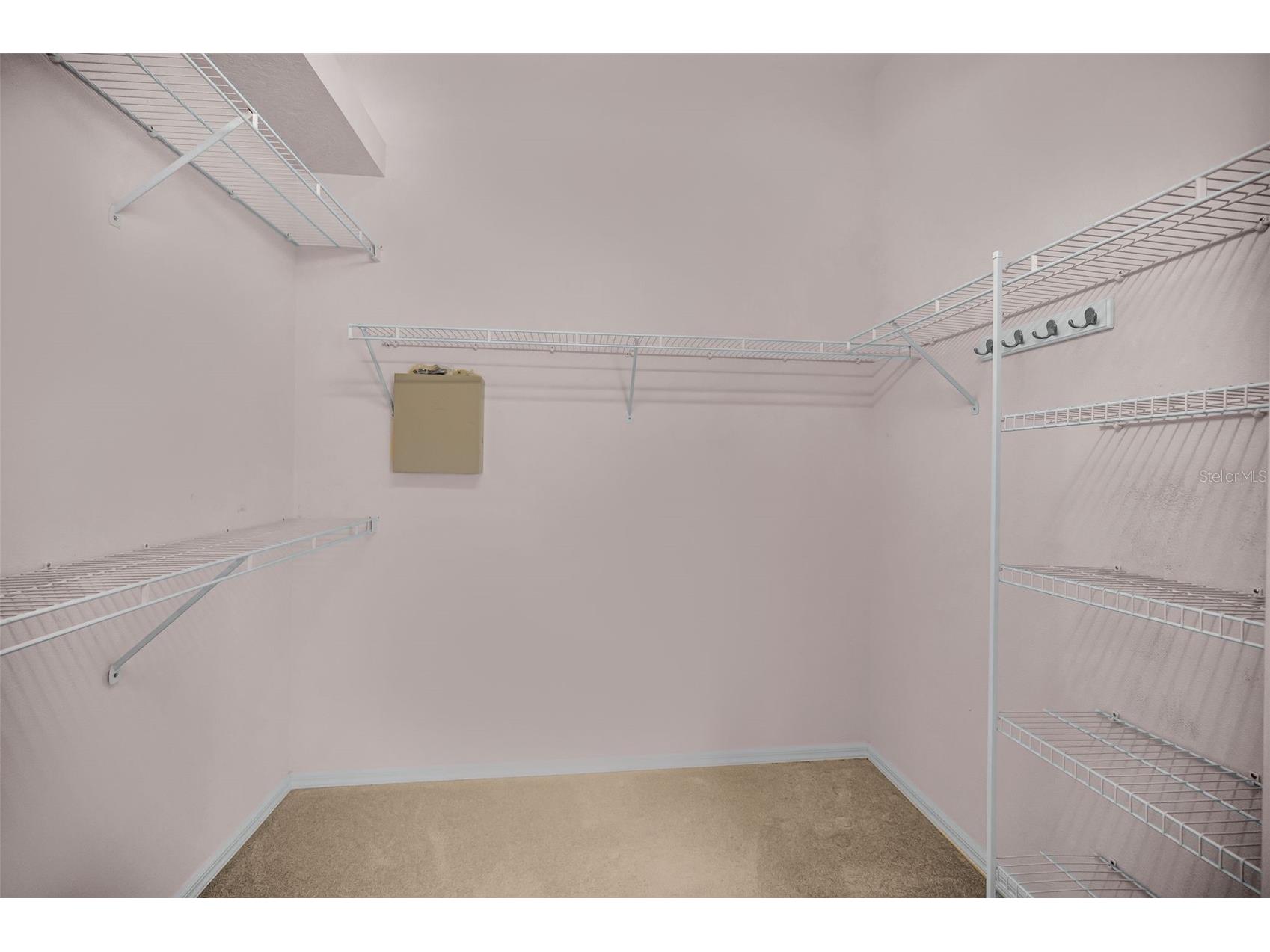 548 Manisha Place Tarpon Springs FL 34688 TB8494809 image24