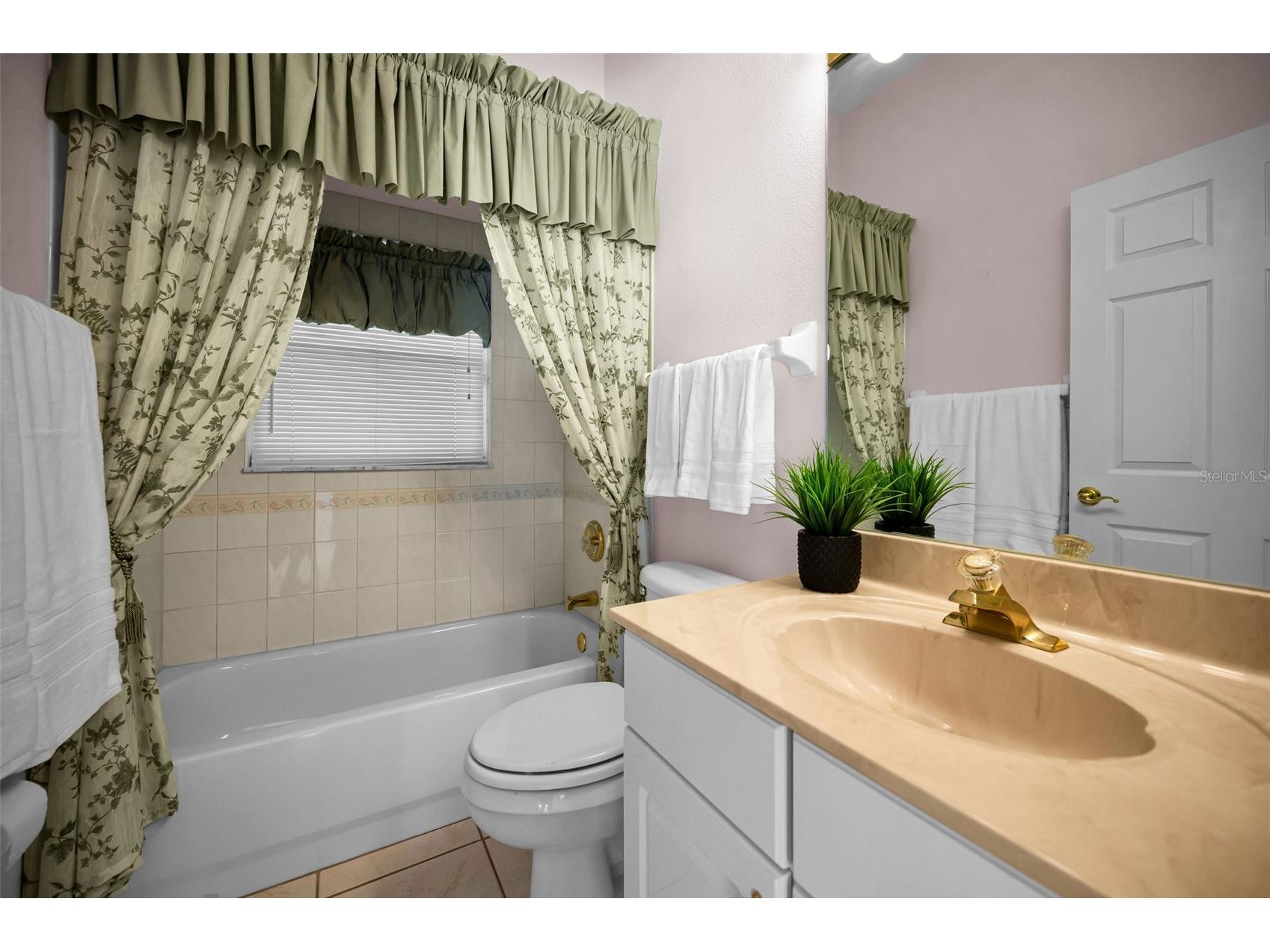548 Manisha Place Tarpon Springs FL 34688 TB8494809 image27