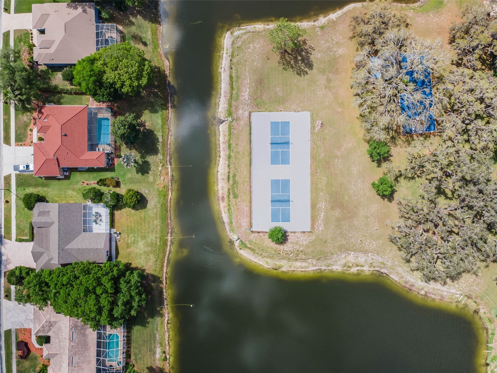 548 Manisha Place Tarpon Springs FL 34688 TB8494809 image36
