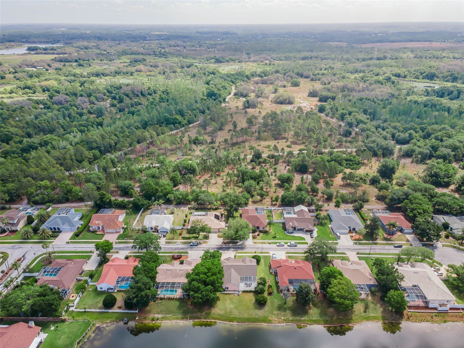 548 Manisha Place Tarpon Springs FL 34688 TB8494809 image38