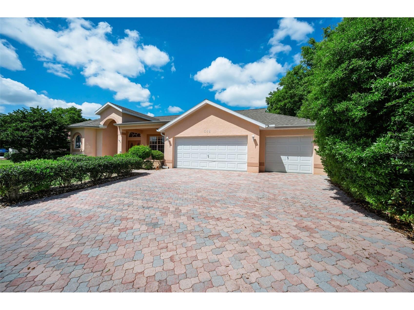 548 Manisha Place Tarpon Springs FL 34688 TB8494809 image45