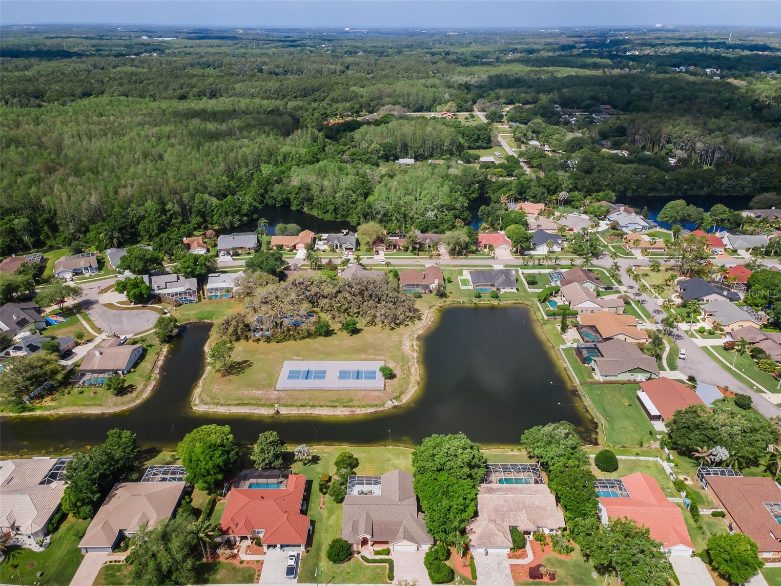 548 Manisha Place Tarpon Springs FL 34688 TB8494809 image5
