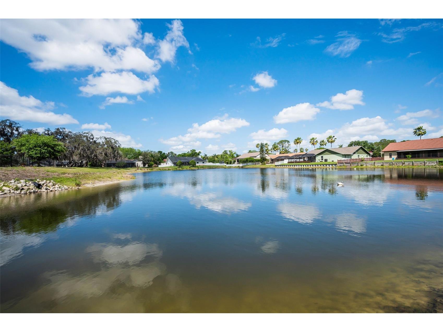 548 Manisha Place Tarpon Springs FL 34688 TB8494809 image53
