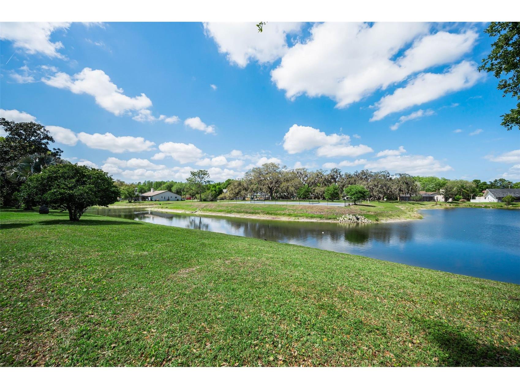 548 Manisha Place Tarpon Springs FL 34688 TB8494809 image54