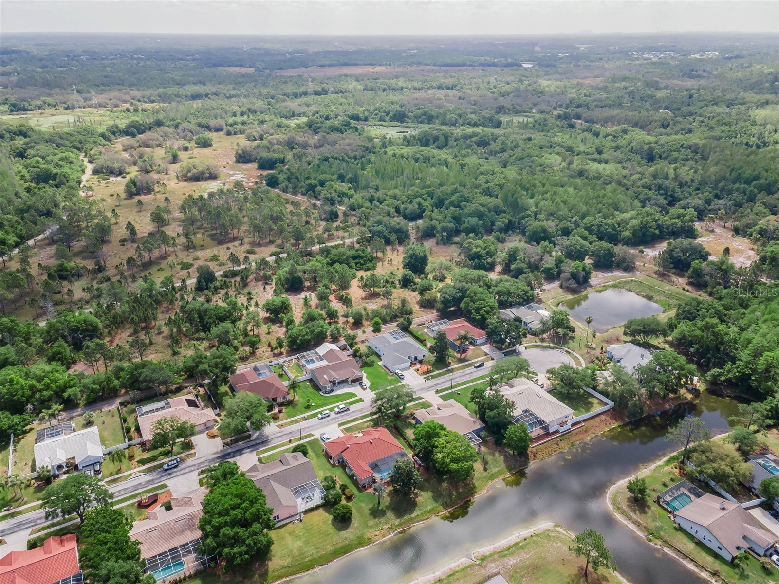 548 Manisha Place Tarpon Springs FL 34688 TB8494809 image55