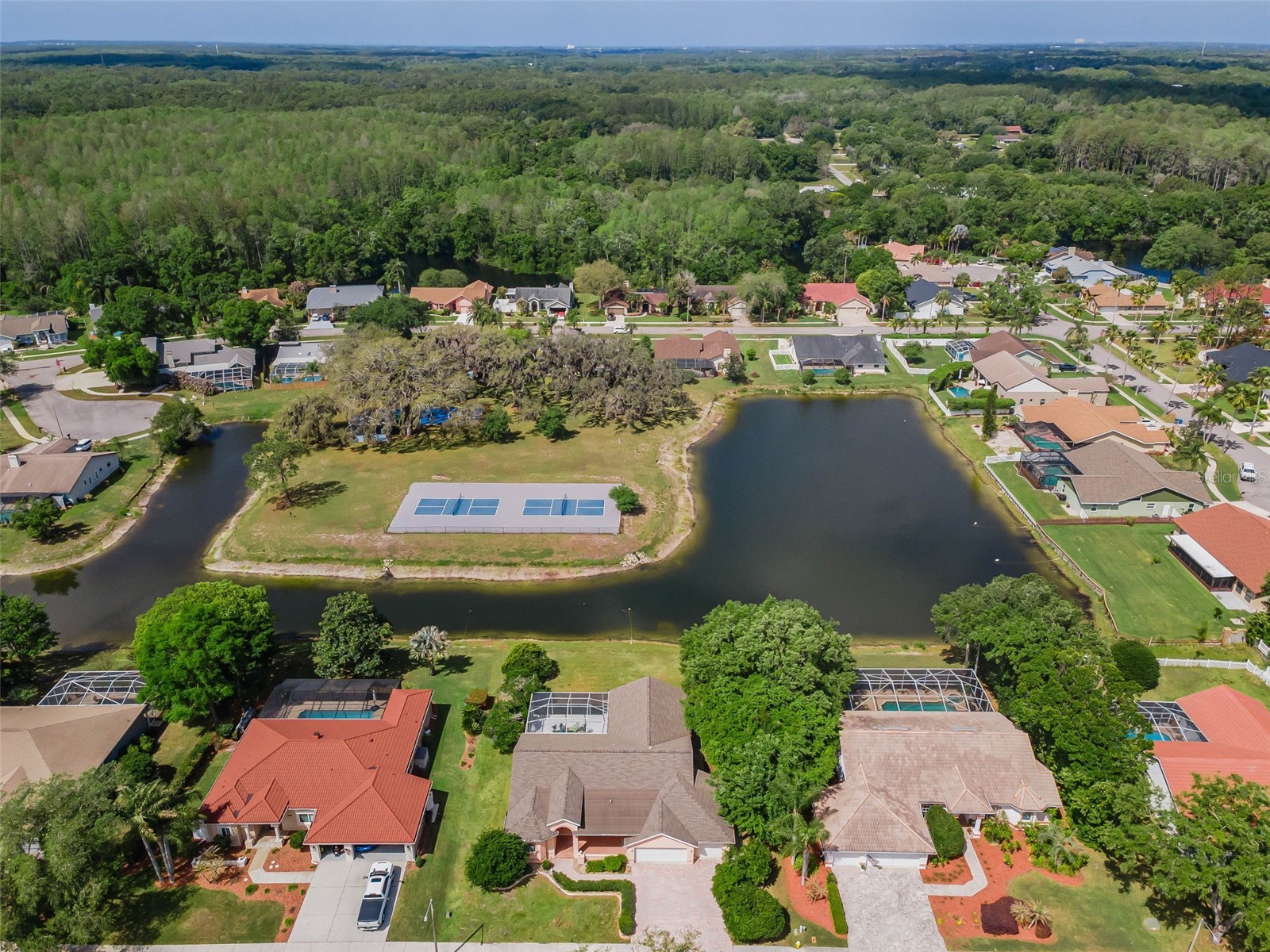 548 Manisha Place Tarpon Springs FL 34688 TB8494809 image58