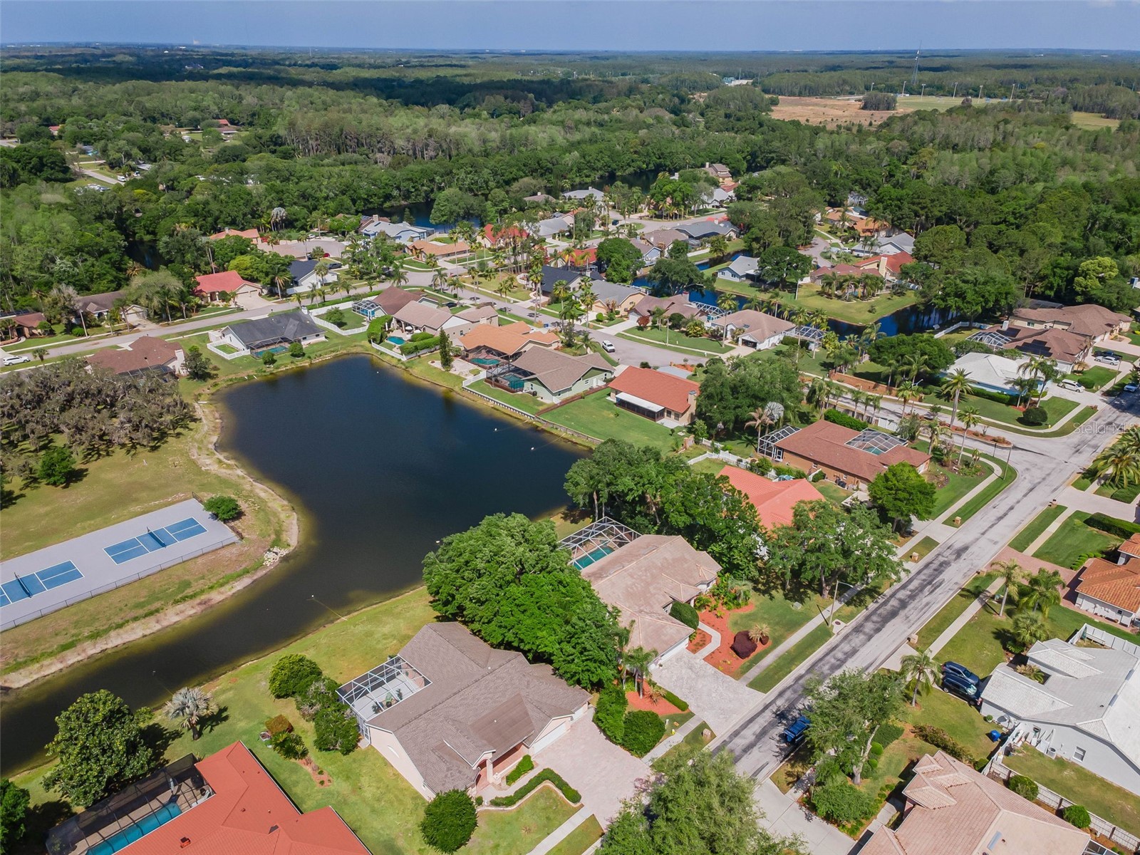 548 Manisha Place Tarpon Springs FL 34688 TB8494809 image59