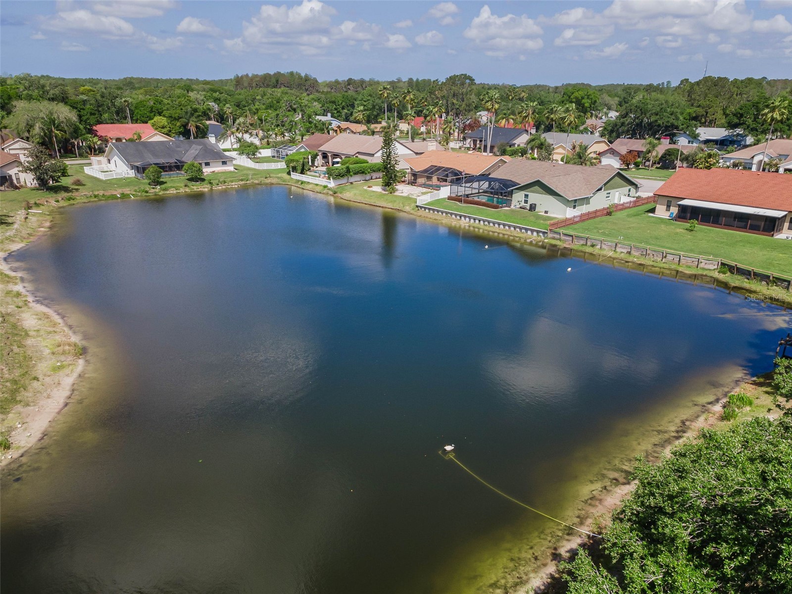 548 Manisha Place Tarpon Springs FL 34688 TB8494809 image63