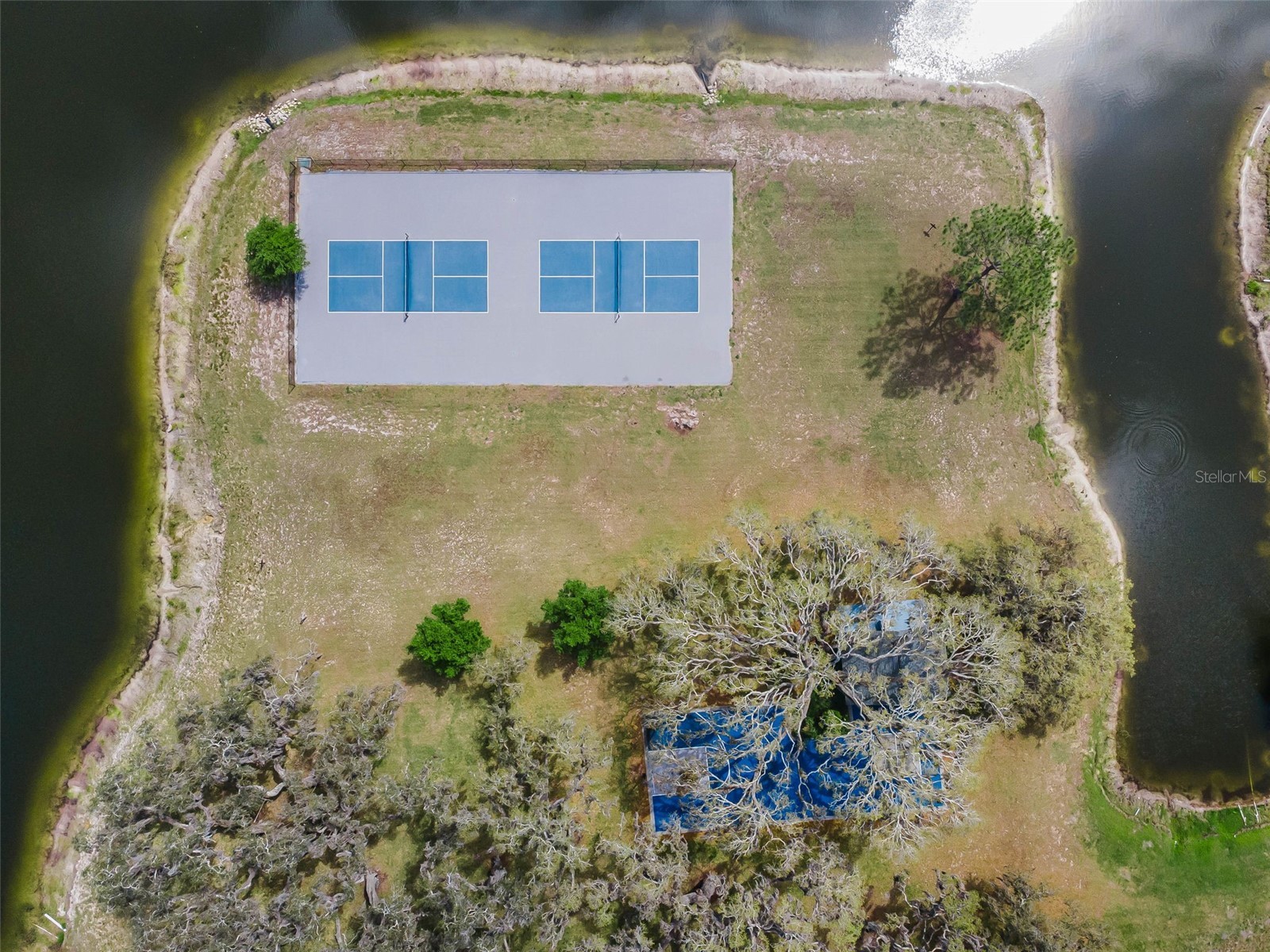 548 Manisha Place Tarpon Springs FL 34688 TB8494809 image66